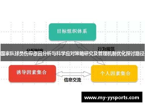 国家队球员伤停原因分析与科学应对策略研究及管理机制优化探讨路径